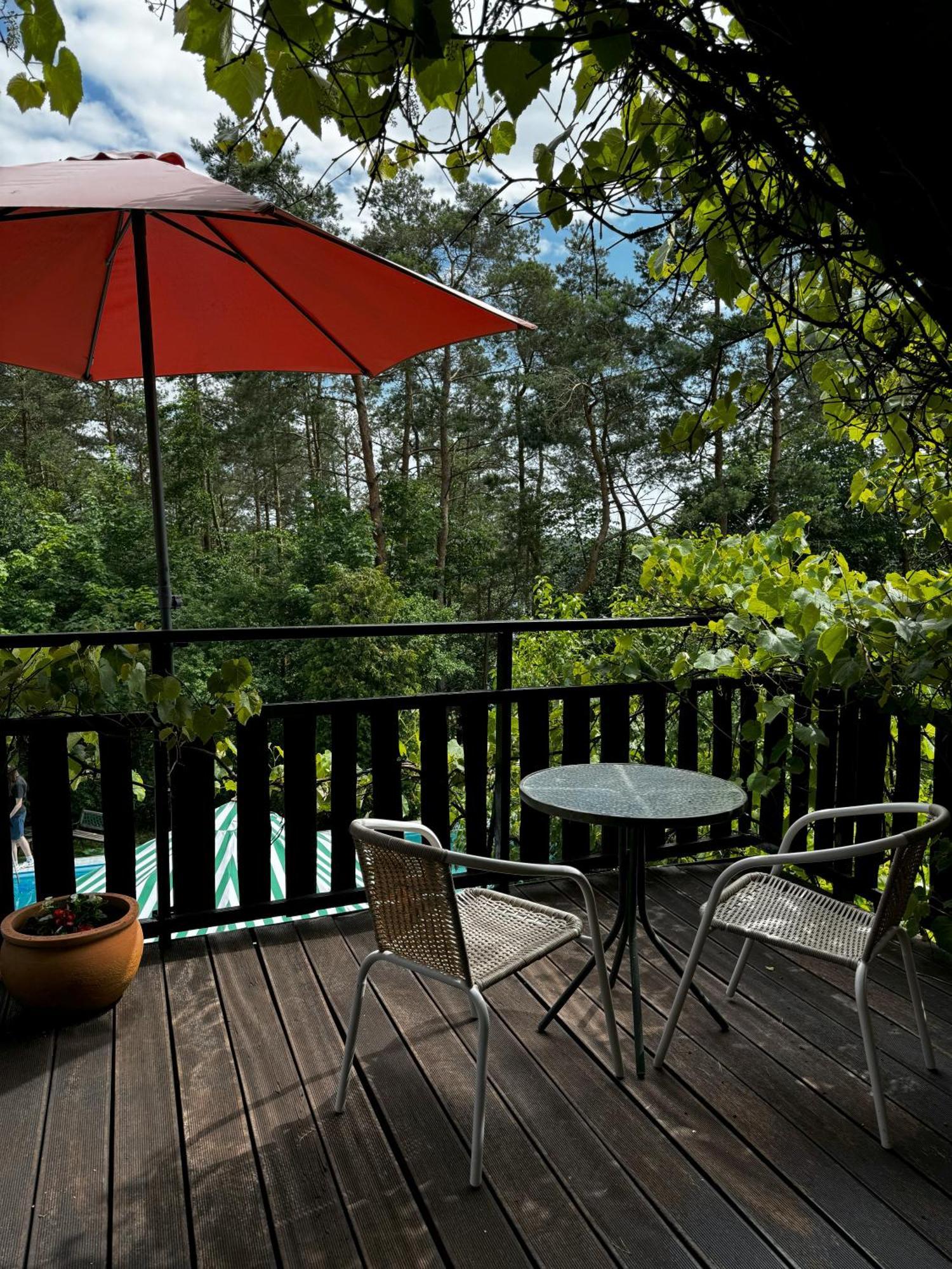 Holiday Villa Żuromin Kültér fotó