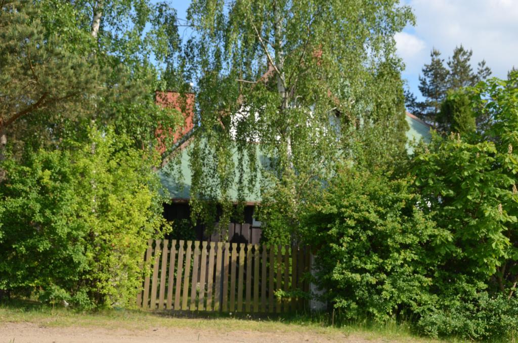 Holiday Villa Żuromin Kültér fotó